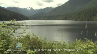 District North Vancouver Profile