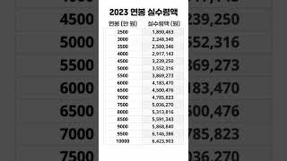 2023년 연봉 실수령액