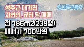 매물#106)성주군 대가면 자연인, 묘터 땅 매매 전 786m²(238평) 매매가 700만원 _성주땅매매.성주군저렴한한옥매매