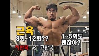 (뇌하수체 트레이닝) ,저반복vs고반복