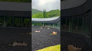 #경주#브레스커피윅스#제주여행지추천 #경주브이로그 #경주신상카페