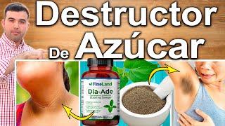 REVELADO! MEJOR DESTRUCTOR DE AZUCAR PARA LA DIABETES Y PRE DIABETES