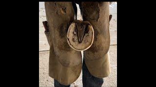 My Method of Horse/Hoof trimming  Educational Demonstration, Satisfying/Barefoot/Trim