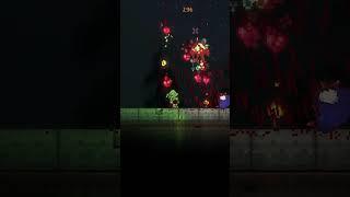 The Most RAWDOG Thing to Do in Terraria