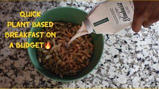 KAMUT CEREAL | QUICK PLANT BASED BREAKFAST