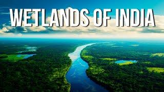 Geography of  AMAZING Wetlands of India! Exploring ALL 82 Ramsar Sites! #education #learning