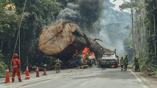 Amazing Fastest Big Tree Cutting Machines | Extreme Dangerous Monster Stump Removal Excavator #9