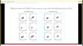 Characterization of Myeloid-Derived Suppressor Cells by Jay and Grace