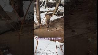 남보다 못한 주인