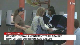 Constitutional amendment on 2024 ballot seeks to make non-citizen voting illegal