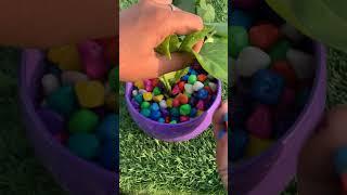 waste pothos leaves decoration idea#Gardening tips#trending shorts#yt viral videos#@prabh Gardening