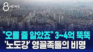 "오를 줄 알았죠" 3~4억 뚝뚝…'노도강' 영끌족의 비명 / SBS 8뉴스