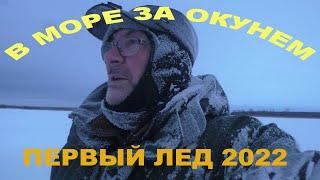 В море за окунем! Рыбинка FOREVER 2022!