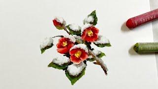 오일파스텔로 눈 쌓인 동백꽃 그리기. Drawing a camellia flower with snow in oil pastels.