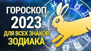 ЧТО НАС ЖДЁТ В 2023: гороскоп на год Кролика для всех Знаков Зодиака