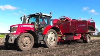 Aardappel oogst 2024 met Grimme SE 150-60. Loonb. De Haan Hellum.     4K.