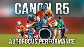 How Good Is The Canon R5 Auto Focus?