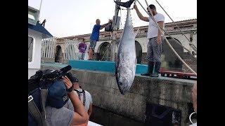 Pescando atún salvaje del Estrecho 'España Directo'