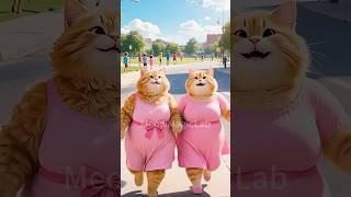 They Laughed at Fat Cat Sisters #cat #kitten #trending #couple #inspiration #catlovers #sister