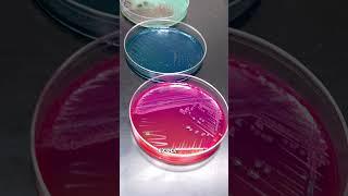 Is your food safe to eat? We got a tour of the state’s food safety lab to uncover the truth.