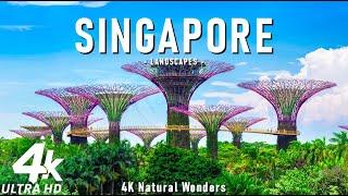 Flying Over Singapore 4K - The Modern Marvels and Lush Gardens of the Lion City | 4K VIDEO HD