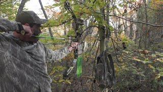 Bow Hunting Sweet November! (Ohio) Where Did All The Deer Go?