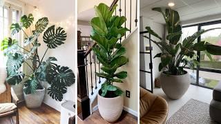 +289 iDEAS elegantes de PLANTAS PARA DECORAR el interior de tu casa y t conectaran con la naturaleza