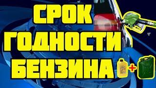 Специалисты рассказали, сколько времени можно хранить бензин в баке и канистре