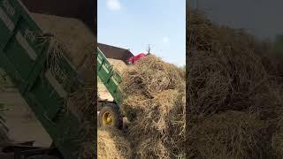 Motu ka dam #trending #viral #viralvideo #motu #cg #tractor #tractorvideo #tractorlovers