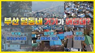 부산의 달동네들/사라질 운명의  문현동 안동네/공동묘지 마을/집안에 소나무가 사는 부곡동 희망숲속마을/피난민 마지막 정착지  영도 해돋이 마을/부산 달동네 사람들의 희노애락