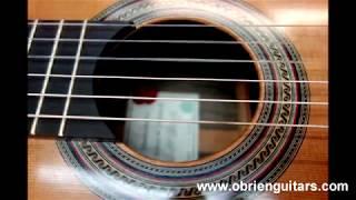 O'Brien Guitars - Classical Bocote with cedar top