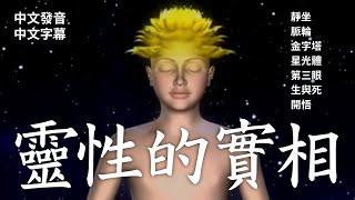 【Spiritual Reality 靈性的實相】中文發音，中文字幕。經典靈性入門影片。詳細解說透過靜坐獲取法界能量，進而開發第三眼，甚至有星光體出遊體驗。而到最後我們走向開悟解脫輪迴。| 開悟合一