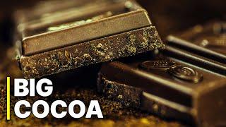 Big Cocoa - La Lucha de Precios en África Occidental | Grandes empresas y pequeños agricultores