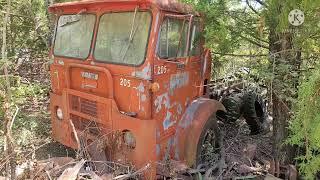 Forest Hoard: We tour mystery semi trailers, Abandoned house, & more cars, trucks & vans!