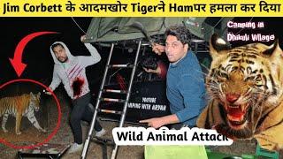 A tiger attacked a woman in dhikuli Jim Corbett | Night Camping in forest | Camping video #camping