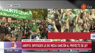 Aborto legal: así se vivió el momento de la votación en Diputados