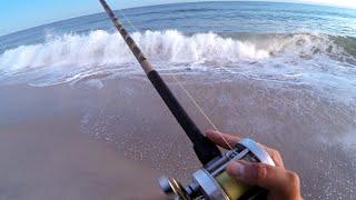 LONG ISLAND SURF FISHING - STRIPED BASS / STRIPERS - 2021 FALL RUN STRIPER SEASON