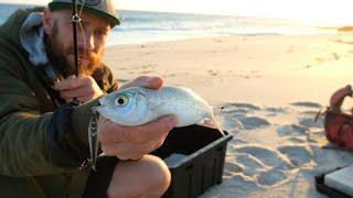 South Coast Beach Fishing