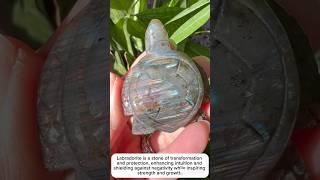 #labradorite turtle craving (f) | #crystal if interested click bio #rockcrystal #crystalmine