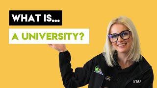 What is a University?