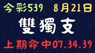 今彩539｜雙獨支｜少年狼539｜8月21日｜上期命中07.34.39.