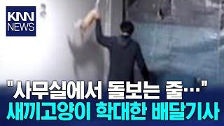 사무실서 새끼 고양이 3시간 학대한 배달기사 재판행 / KNN