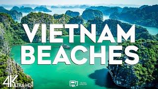 Top 10 Best Beaches in Vietnam - Travel Guide 2025