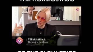 Teemu Arina on the homeostasis of the flow state