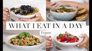 What I Eat in a Day #33 (Vegan/Plant-based) | JessBeautician