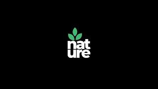 Custom Logo Animation in After Effects | Nature Leaf Animation | After Effects Tutorial