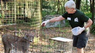 Volunteer’s Arm at Carole Baskin’s Sanctuary Nearly Cut Off