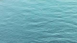 Jeremy Hwang Live Stream