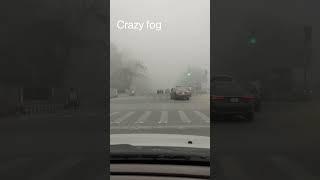 Driving through dense fog in Lahore #youtubeshorts #youtube #ytshorts