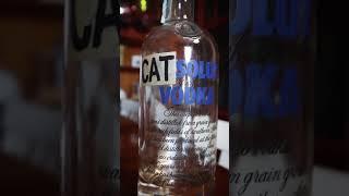 Una notte da Gattoni / The Hangover part Cat #cats #gatti #vodka #hangover #unanottedaleoni